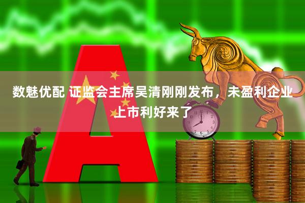 数魅优配 证监会主席吴清刚刚发布，未盈利企业上市利好来了
