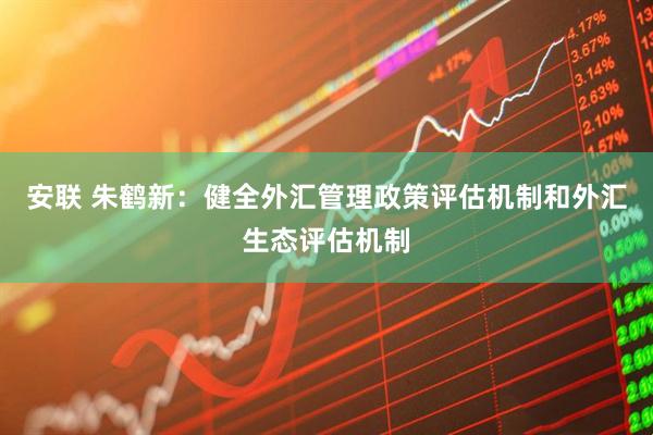 安联 朱鹤新：健全外汇管理政策评估机制和外汇生态评估机制