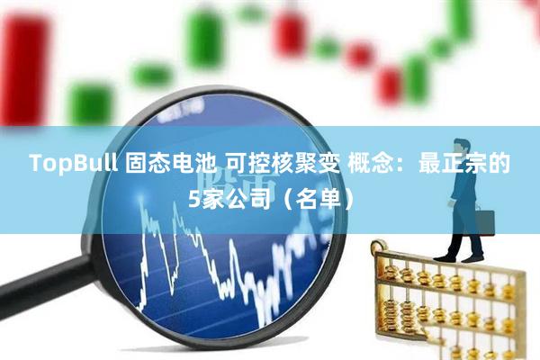 TopBull 固态电池 可控核聚变 概念：最正宗的5家公司（名单）